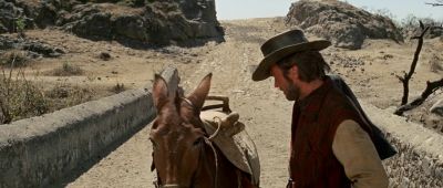 You are as stubborn as my mule - Two Mules for Sister Sara