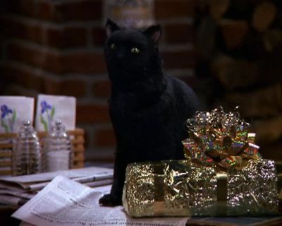 You are so weird - Sabrina, the Teenage Witch