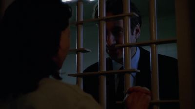 You were at the sentencing, Agent Mulder. - The X-Files