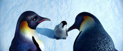 You bet you will - Happy Feet