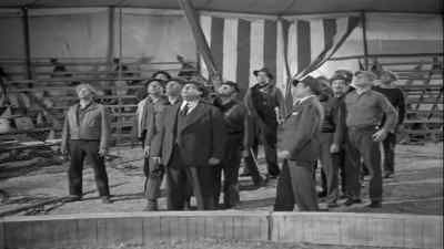 You better come down now. - Tarzan's New York Adventure