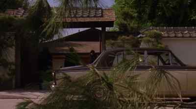 You better
go and call for backup. - Red Sun Rising