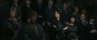 You better have an excellent excuse for this intrusion, Ms. - Fantastic Beasts and Where to Find Them