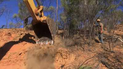 You better put all your money
in the winter - Outback Opal Hunters