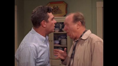 YOU BLEW IT YOU BLEW IT - The Andy Griffith Show