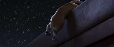 You boarded the train to hell! - Gracie & Pedro: Pets to the Rescue