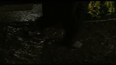 You broke the protocol. - Children of Men