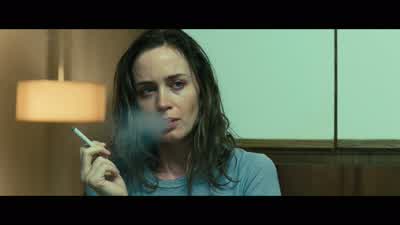 You brought him back here, though. - Sicario