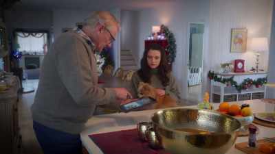 You brought in solar power,
all the building materials, - The Dog Days of Christmas