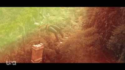 You brought the first box in, - Snake in the Grass