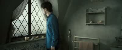 You buried the elf. - Harry Potter and the Deathly Hallows: Part 2