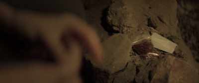 You call that red stuff
"the flower," right? - The Endless
