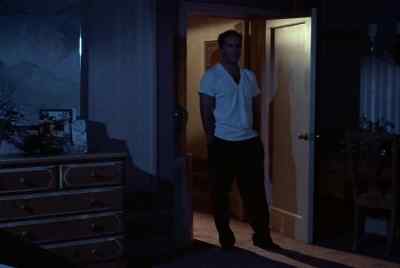 YOU CAME ALL
THE WAY OUT HERE. - Moonlighting