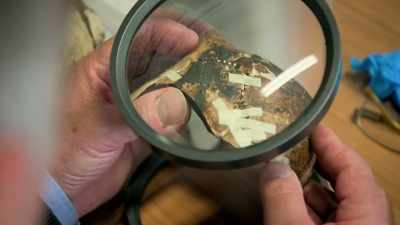 You can clearly see here, as well as
blackened margins, - Lost Treasures of Rome