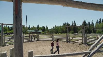 You can cluck. - Heartland