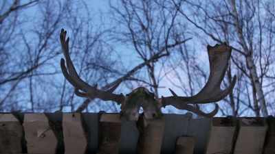 You can do everything you
can to try to prepare, - Life Below Zero: Next Generation