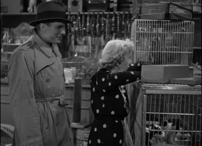 You can fool everybody - Cat People