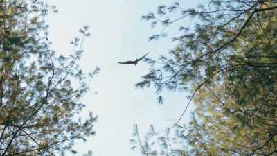 You can go off-road,
off the path, - The Cabin Chronicles