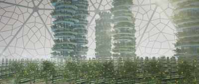You can grow crops, - The Lost Century: And How to Reclaim It