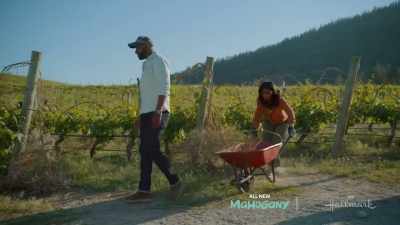 You can hire them
for fairly cheap, - Napa Ever After