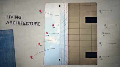 You can imagine buildings in
an earthquake develop cracks - A Brief History of the Future