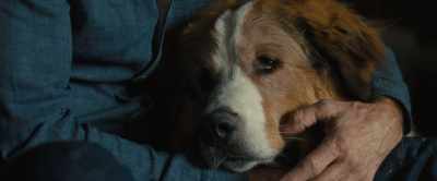 You can protect her.
[sniffles] - A Dog's Journey