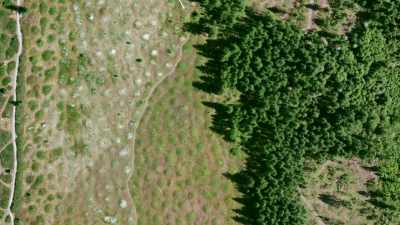 You can see all these little mounds, - Secrets of the Underground
