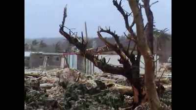 You can see the whole coastline
has just been stripped, - Protecting Paradise: The Story of Niue