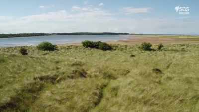 You can see them snaking away
through the long grass. - Scotland from the Sky