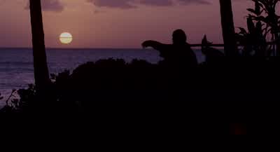 You can stop crying now. - Forgetting Sarah Marshall