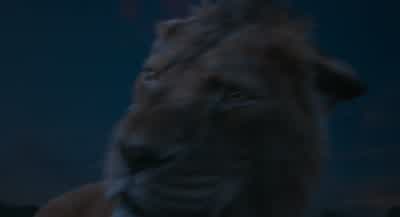 You can try to run but I'm afraid you won't get very farAnd why would I run from youBecause we're lionsAs in roaring lionsA flea can trouble a lionmore than a lion can trouble a fleaI don't think you understand what's about to happenThere's no place for - Mufasa: The Lion King