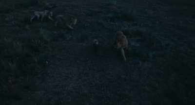 You can try to run, but I'm
afraid you won't get very far. - Mufasa: The Lion King