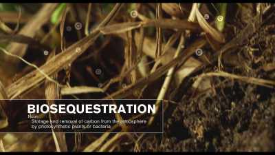You cannot achieve drawdown
without bio sequestration. - Kiss the Ground