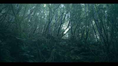 You cannot know what endurance means... - The Gloaming
