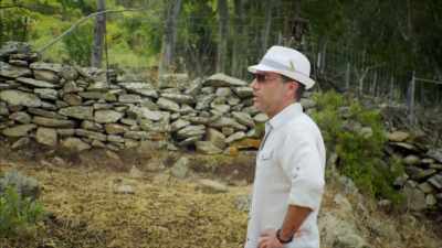 You cannot stop a herd of sheep! - Gino's Italian Family Adventure