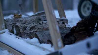 You can't expect animals to
just pull 800 pounds, - Life Below Zero: Next Generation