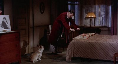 You can't go through your life on Wheaties alone - Pal Joey