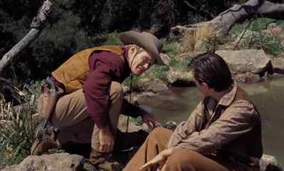 You can't hardly tell at first - Old Yeller