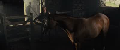 You can’t harness him. - War Horse