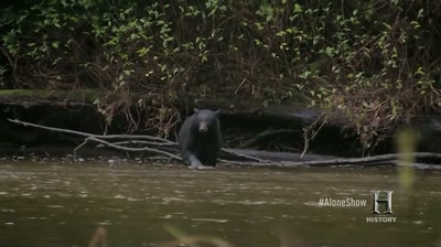 You can't see
three feet into the bush here, - Alone