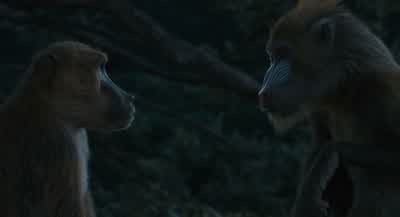 You can't survive on your ownNobody canAnd yet here we are - Mufasa: The Lion King