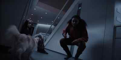 You chipped fuzzy baby. - Resident Evil
