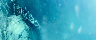 You cling to your pathetic life. - The Last Witch Hunter