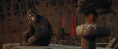 You come to judge meI judge myselfI promised our fatherI would bring them homeI failedEagle Clan belongsto Proximus Caesar nowThat is the lawBut the law is wrong - Kingdom of the Planet of the Apes