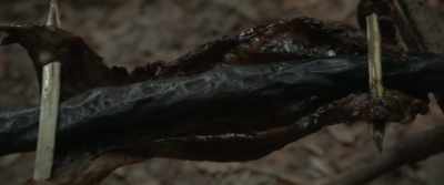 You cooked with the Stick. - Jade Dynasty