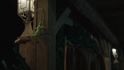 You could have at least tidied up
while I was gone, Harry. - Death in Paradise