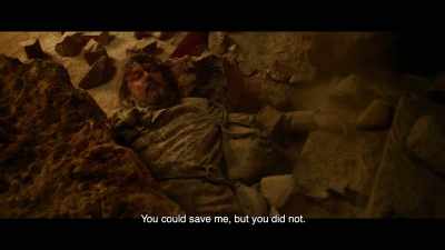 You could save me, but you did not. - The Ninth