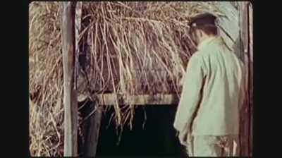 You could see grass
and plants - Hiroshima and Nagasaki: 75 Years Later