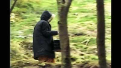 You could traipse
across the snow - Krishnas: Gurus. Karma. Murder.