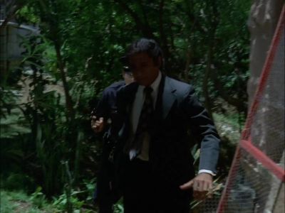 YOU COVER ME. - Hawaii Five-O